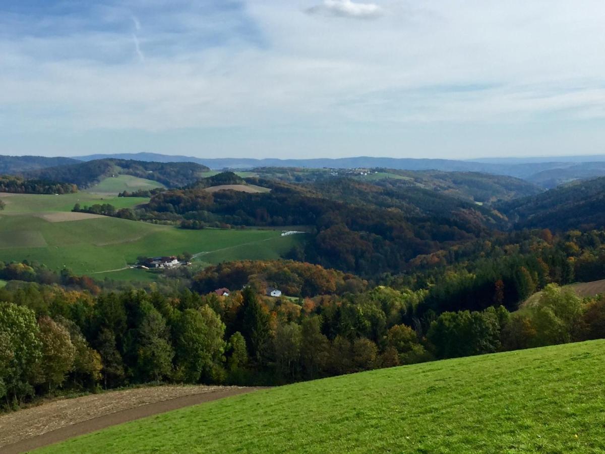 Blockhaus Mit Beheizbarem Badefass Und Infrarotsauna Auf Der Terrasse Oberschutzen