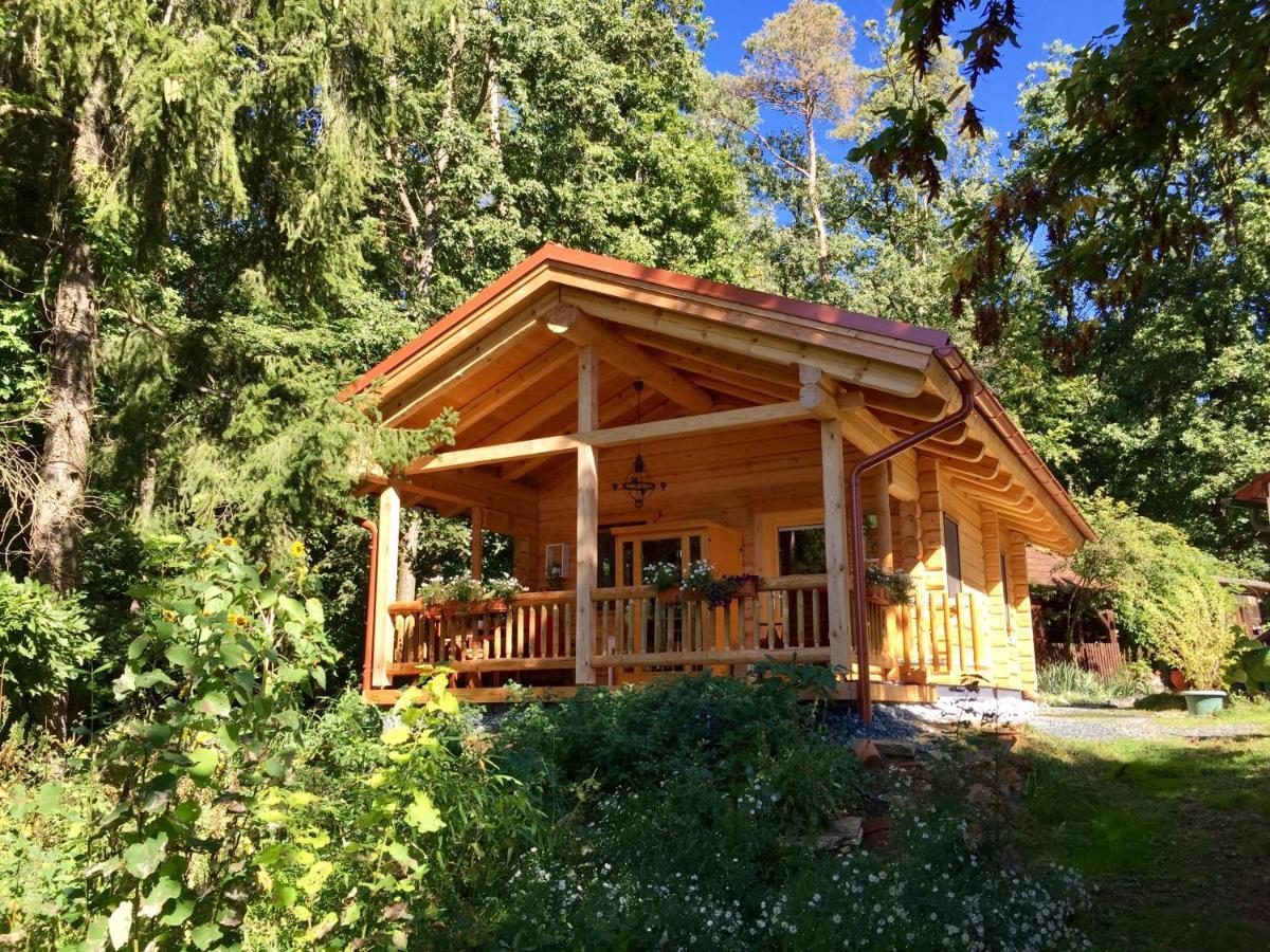 Blockhaus Mit Beheizbarem Badefass Und Infrarotsauna Auf Der Terrasse Chalet Oberschutzen